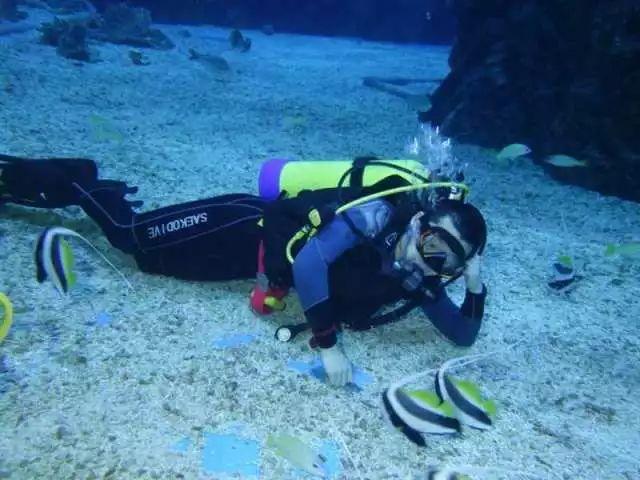 极地大逃亡